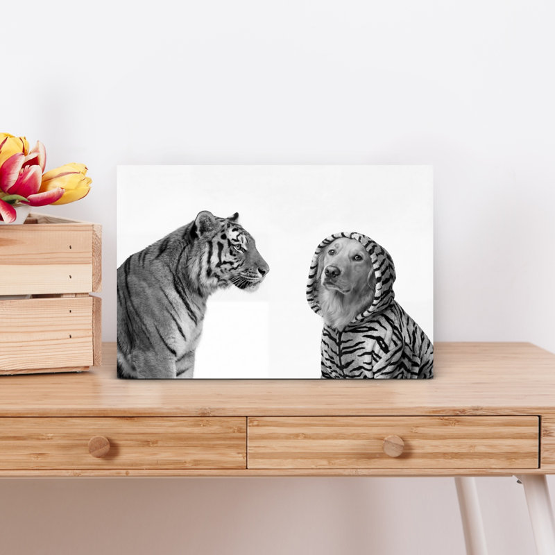 Tigre et chien costumé, art mural tigre contemporain, H 12 po x l 18 po