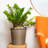 13 In.Gray Wicker Self-Watering Planter-1929059587