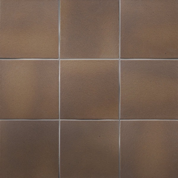 Quarry 6" x 6" Ceramic Wall & Floor Klinker Tile in Flame Brown