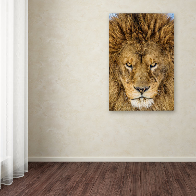 Serious Lion Portrait Framed Canvas Art, 22 x 32