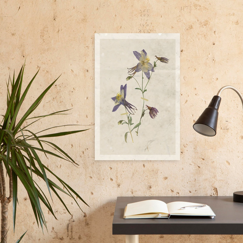 Art mural fleur pressé Columbine II, H 24 po x l 16 po