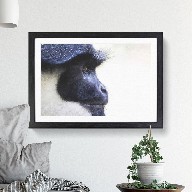 Colobus Monkey - Picture Frame Graphic Art, Black Framed, 36cm H x 48cm W x 2cm D