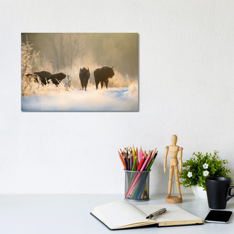 Bison In Winter Landscape by Mateusz Piesiak - Wrapped Canvas Print, 20.32 cm H x 30.48 cm W