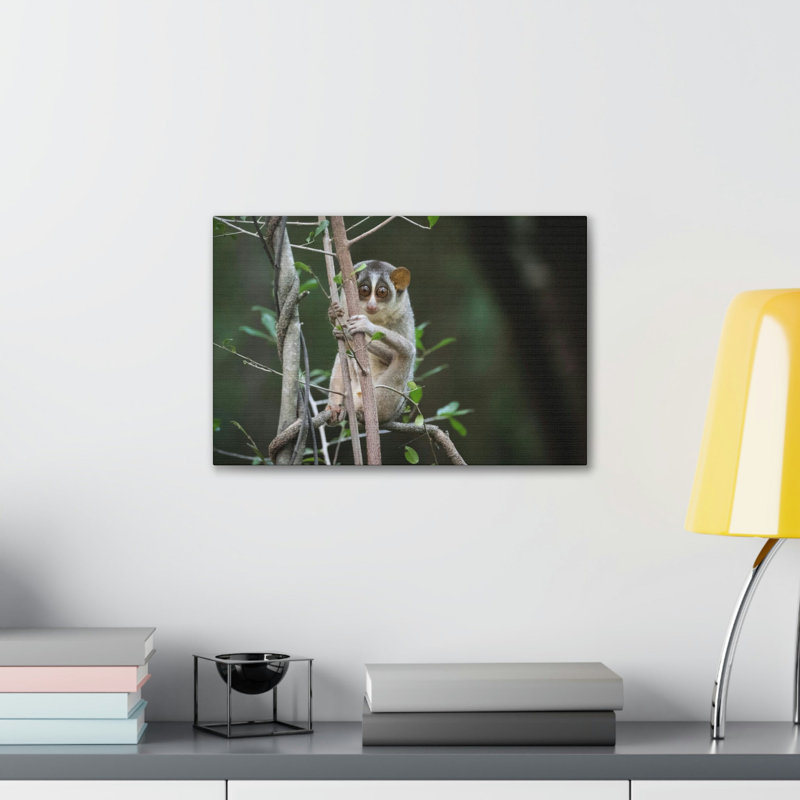 No Frame Print on Canvas, 27.94cm H x 35.56cm W