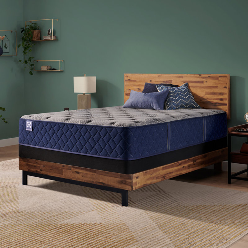 Sealy Dudley Chase 14.5" Medium Tight Top Innerspring Mattress, California King