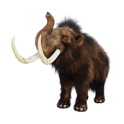 3D Rendering Woolly Mammoth by Vac1 - Wrapped Canvas Print