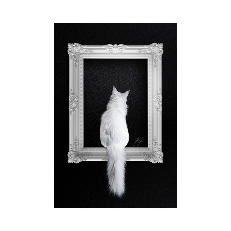 Cat In Frame by Kathrin Federer - Wrapped Canvas Print, 20.32 cm H x 30.48 cm W