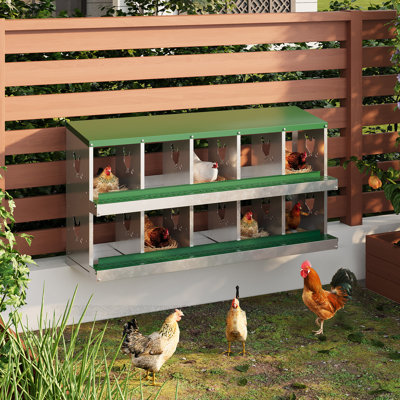‌Galvanized Steel Chicken Nesting Box with Roll Out Egg Tray - 10 Hole, Rustproof & Ventilated Laying Boxes for Hens, Chickens, Ducks | Easy-Clean Poultry Coop Accessories, Green