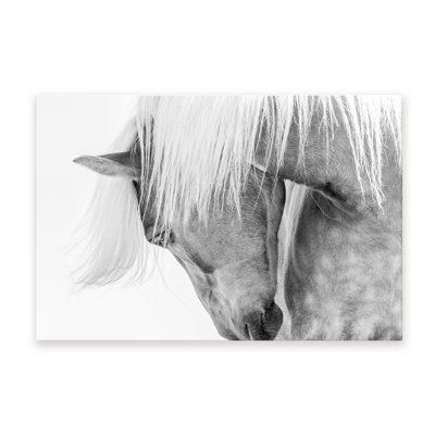 Nature Inspired Halflinger Portrait by  - Picture Frame Photograph on Paper