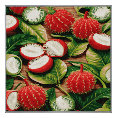  Tapis lavable Rambutan