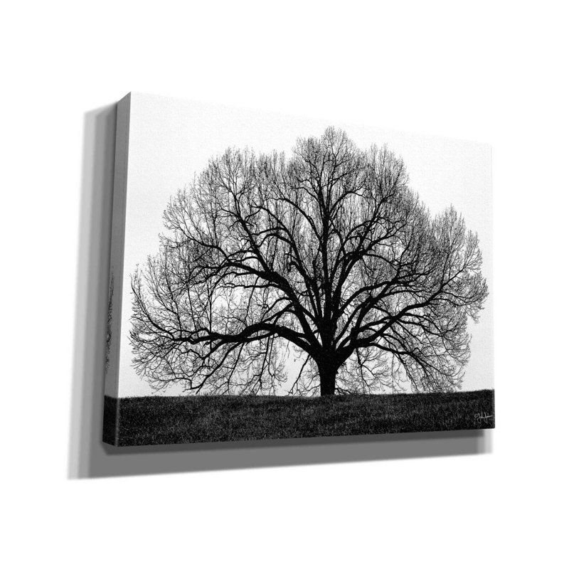 «The Tree» par John Jones, estampe numérique sur toile, H 12 po x l 16 po x P 0,75 po