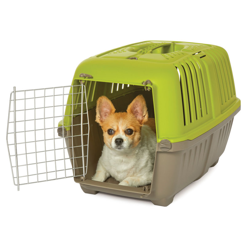 Sac de transport 24 po rouge, Vert