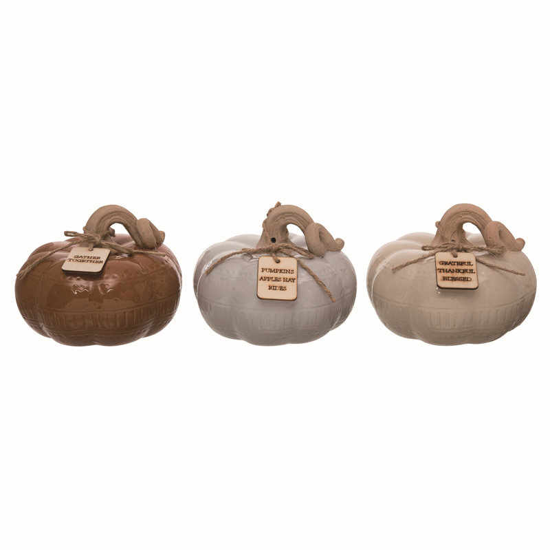 Ensemble de 3 citrouilles d'automne multicolores à motif d'automne en terre cuite de 7,5 po 