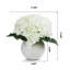 Arrangement floral d'hortensias en pot-2016984965