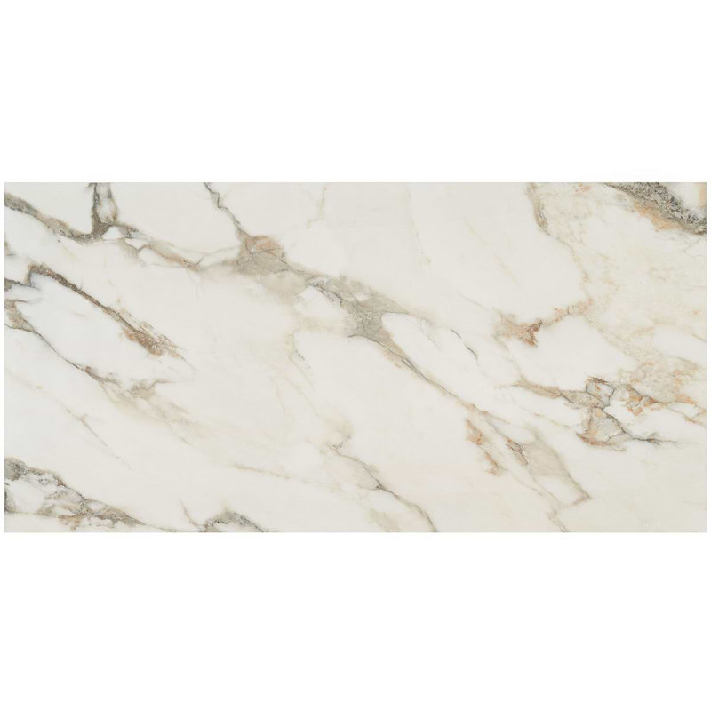 Dreamstone 24X48 Polished Porcelain Tile, Calacatta Rustico Polished