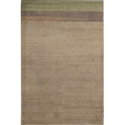 Wool Area Rug in Beige