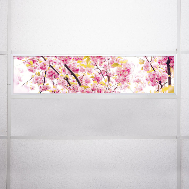 Flower Rectangle Fixture Component Ceiling Light