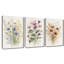 Art botanique aquarelle rétro de fleurs sauvages - ensemble de 3 impressions sur toiles tendues de qualité supérieure-280320113
