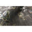 Dharma Floral Area Rug