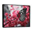 Claymoore, rose, papillon noir, refuge sur toile-1225308306-1225310082