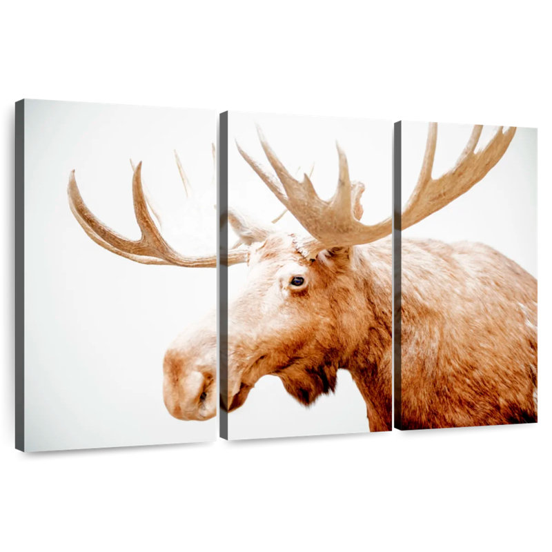 Moose Side Profile, 48" H x 74" W