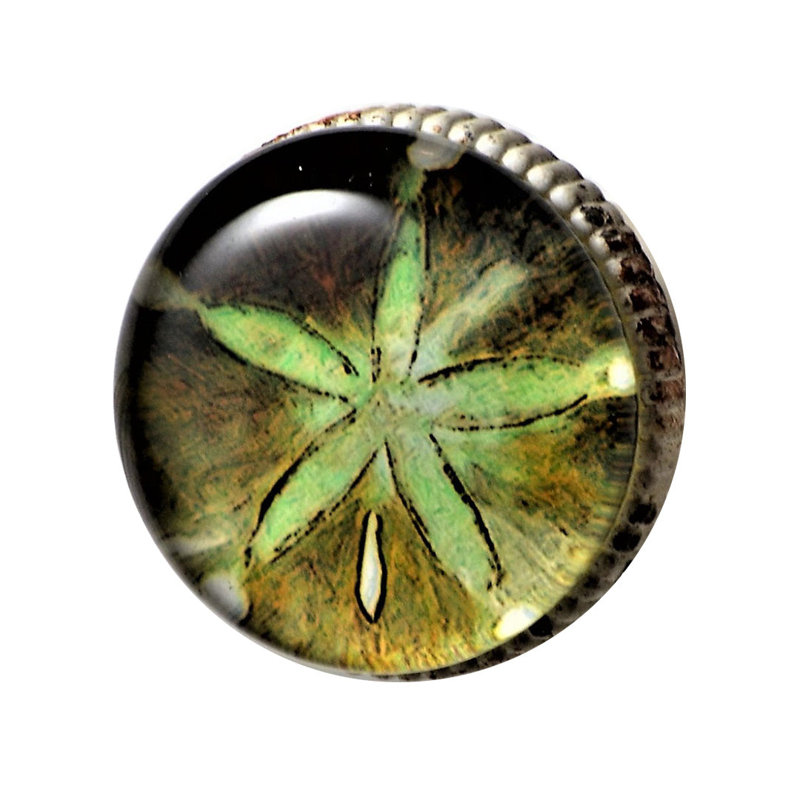 Sea Green Starfish Knob