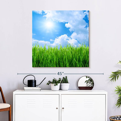 Harnek Grass Field Under Blue Sky