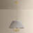 Antonia 20" 4-Light Cone Chandelier
