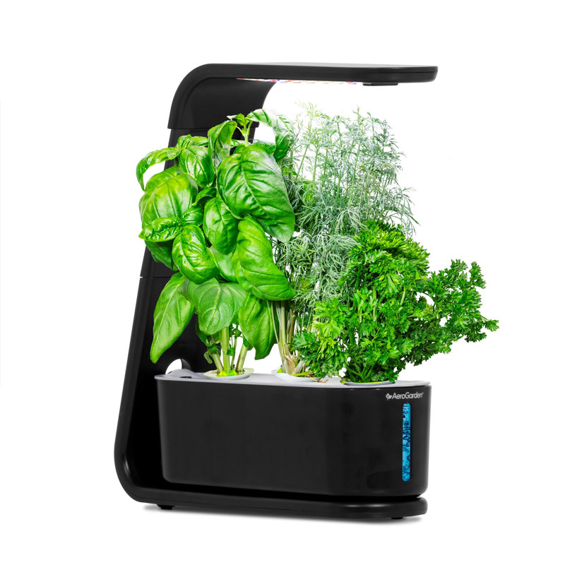 AeroGarden Sprout - noir, Noir