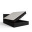 Basso Upholstered Ottoman Storage Bed-14480443-14480438