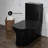 Concorde One Piece Square Toilet Dual Flush in Glossy Black 1.1/1.6 gpf-1982268218-1988336525