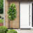 72'' Faux Banyan Tree in Pot