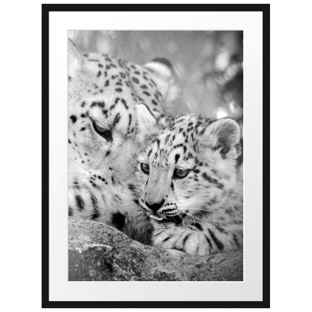 Gerahmtes Poster Leopard mit Jungtier