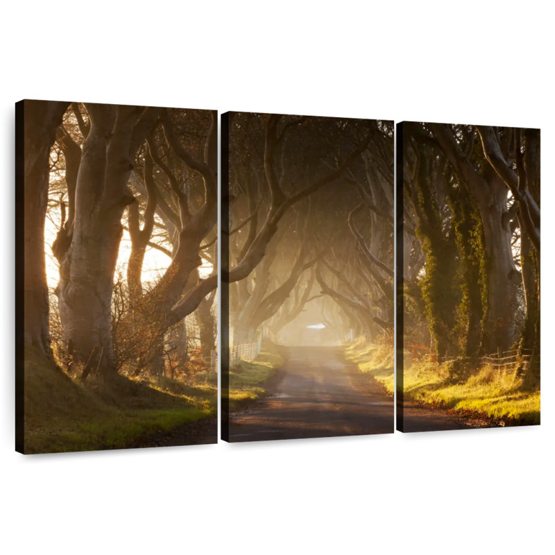 Mehar Pathway to the Woods, H 36 po x l 57 po