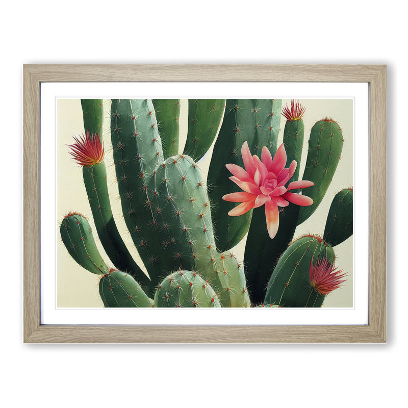 Splendorous Cactus - Framed Print, 25cm H x 34cm W x 2cm D, Oak