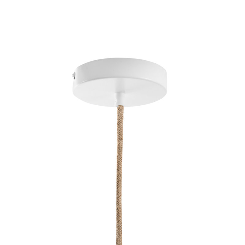 1 - Light Natural Novelty Pendant