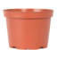 6 Inch  Plastic Pot Terra Cotta (12 Pack)