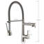 Belfry Kitchen Keneisha Pull Down Kitchen Faucet
