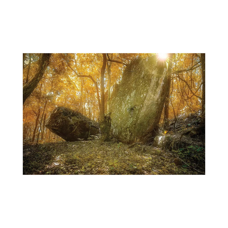 Tropical Forest VII 1 Piece Wrapped Canvas Wall Art, 101.6 cm H x 66.04 cm W