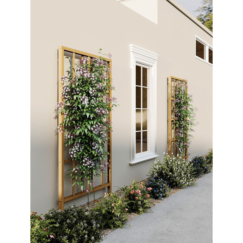 Treillis moderne en bois de cèdre, brun doré, H 77 po x l 39 po x P 3 po