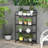 Metal Plant Stand
