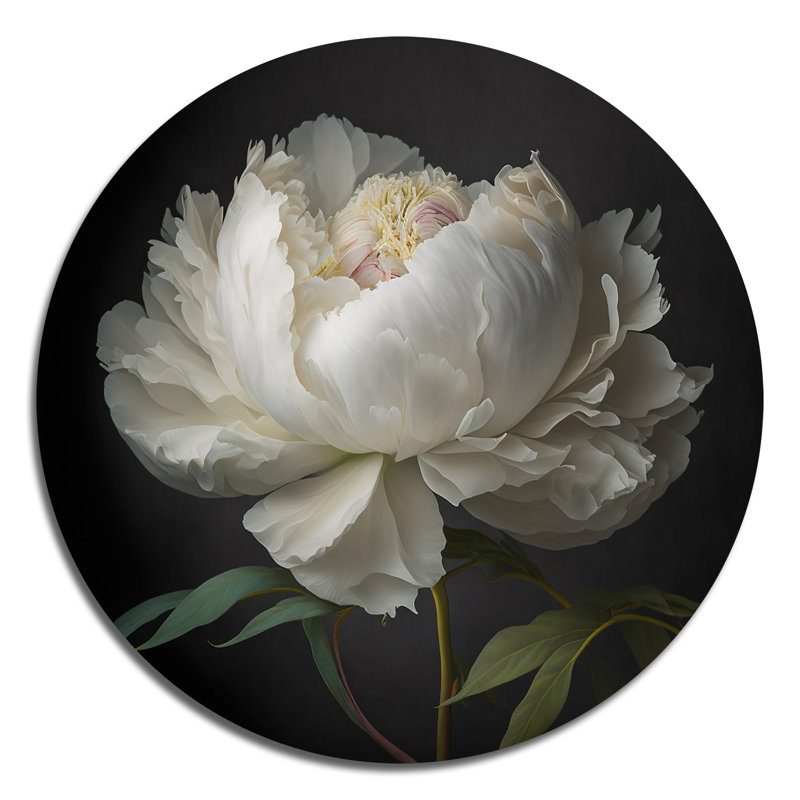Pivoine blanche en fleurs VI - art floral rond en métal, H 36 po x l 36 po