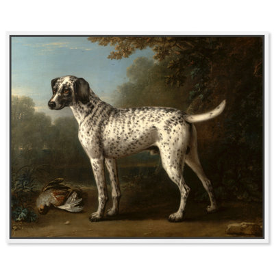" A Gray Spotted Hound " by John Wootton Painting Print