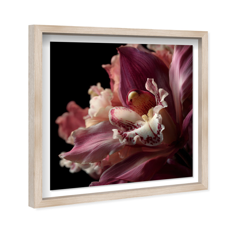 Velvet Labellum Print by Oliver Gal, 21.5"H x 21.5"W, Natural Oak Shadowbox