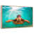 Floating Frame Natural Wood selected
