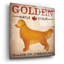 «Golden Dog At Show» par Ryan Fowler-1539950280
