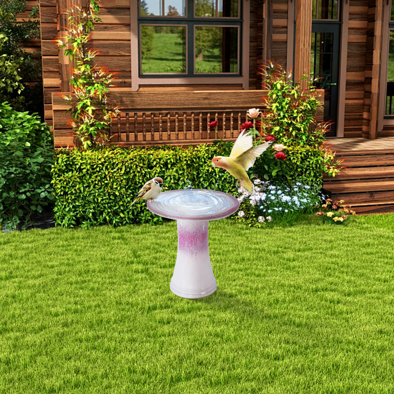 Bain d'oiseaux en céramique pour patio, jardin, Rose 