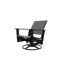 Wexler Outdoor Swivel Lounge Chair-1102391103-1099678815