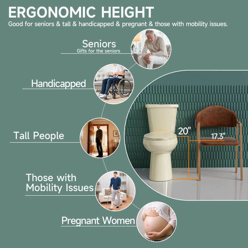 19" ADA Height Compact Two Piece Tall Toilet for Seniors, 1.1/1.6 GPF Tornado Dual Flush, MAP 1000g, Bone, Bone