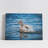 Duck Swimming in a Lake-925939888